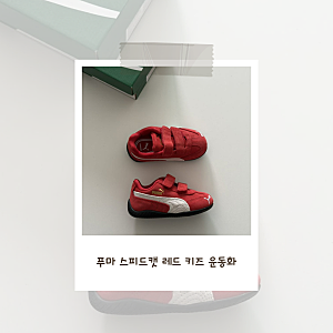 푸마 스피드캣 레드 키즈 운동화 | 아기 가을 신발 추천❤️