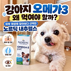 강아지 오메가3 왜 먹여야 할까? 피부 영양제 알아보다 선택한 노르딕 내추럴스