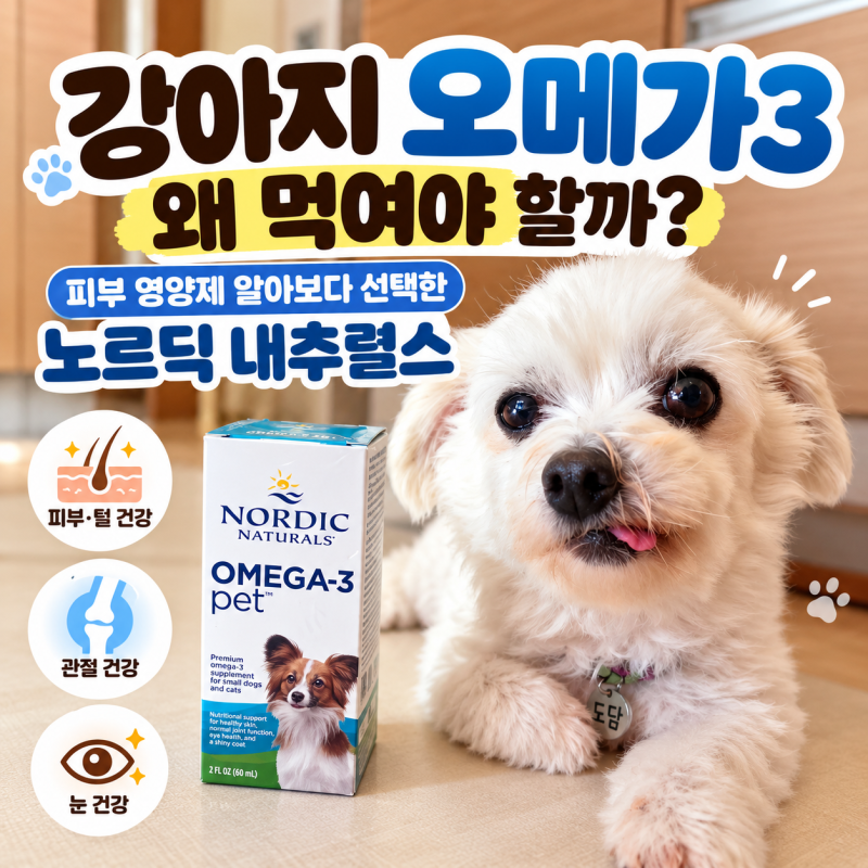 강아지 오메가3 왜 먹여야 할까? 피부 영양제 알아보다 선택한 노르딕 내추럴스