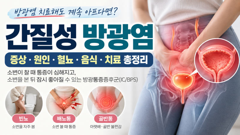 방광염 증상 총정리｜소변 볼 때 통증·빈뇨·혈뇨·요도통증, 치료해도 반복되면 간질성 방....