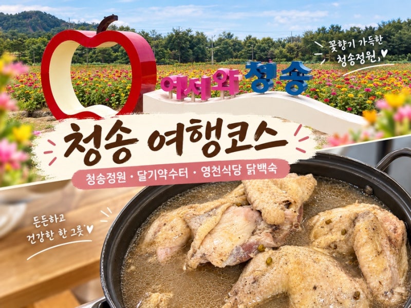 소노벨청송 청송 여행 코스 | 산소카페 청송정원 달기약수터 영천식당