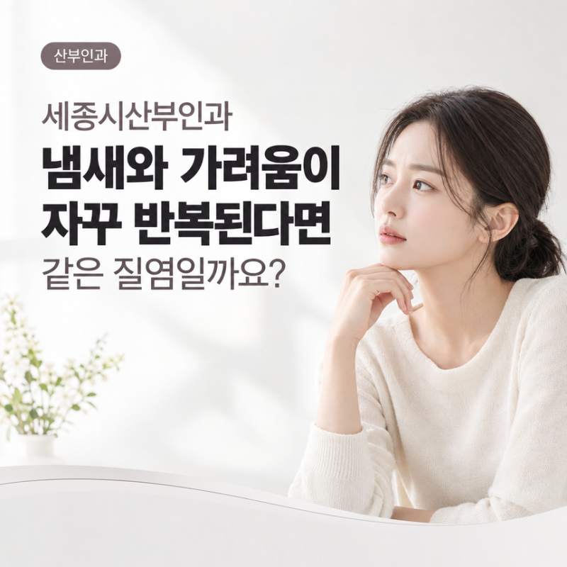 세종시산부인과 냉 냄새와 가려움이 자꾸 반복된다면 같은 질염일까요? [진료과목 산부인과]