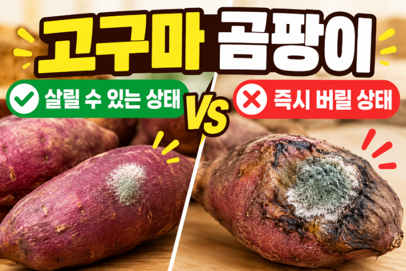 고구마 곰팡이 잘라내고 먹어도 될까?(살릴 수 있는 상태 vs 즉시 버릴 상태 판별법)