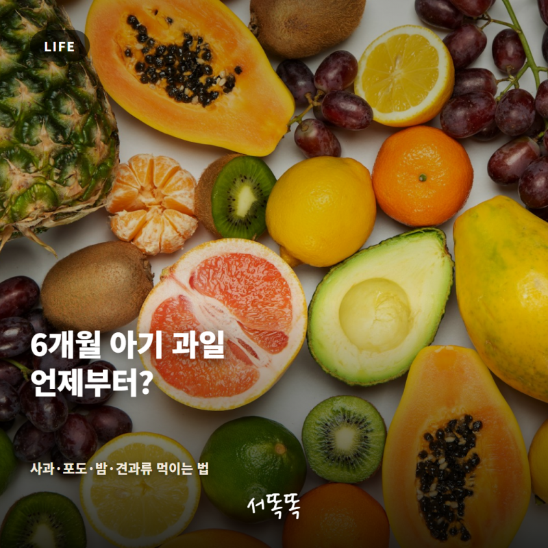 6개월 아기 과일 언제부터? 사과·바나나·포도·밤·견과류까지 먹이는 방법 총정리