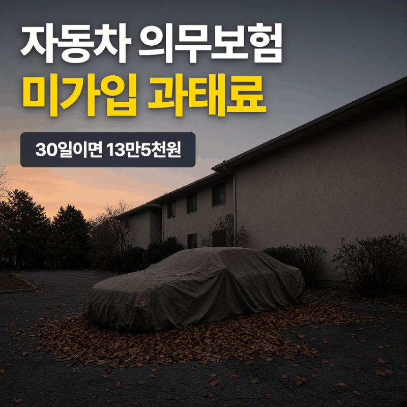 자동차 의무보험 과태료, 30일이면 13만5천원