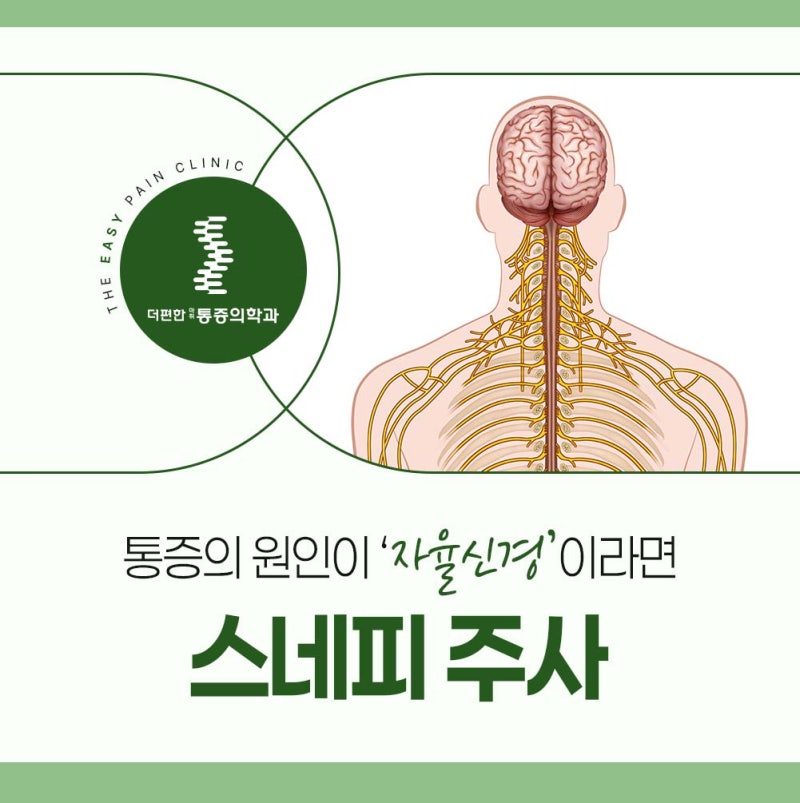 대구 대곡역정형외과 검사해도 이상 없는 만성 통증, 자율신경 회복 돕는 스네피 주사