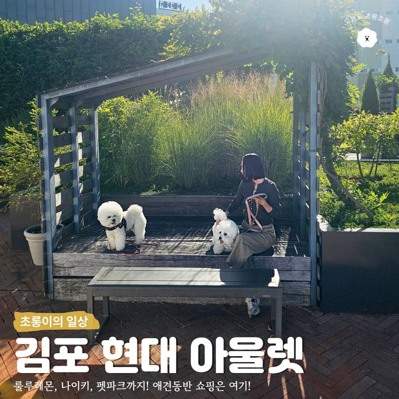 김포 현대 아울렛 룰루레몬 나이키 펫파크 방문 후기