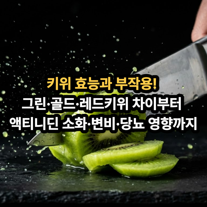 키위 효능과 부작용! 그린,골드,레드키위 차이부터 액티니딘 소화·변비·당뇨 영향까지