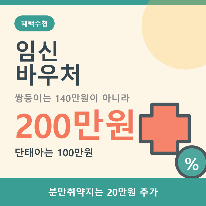 임신바우처 100만원, 쌍둥이는 140만원이 아니라 200만원입니다