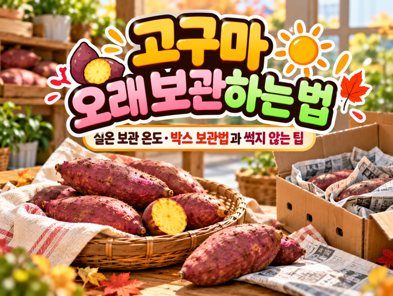 고구마 오래 보관하는 법｜실온 보관 온도·박스 보관법과 썩지 않는 팁