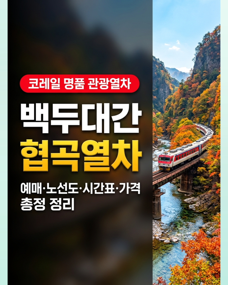 백두대간 협곡열차 예매와 노선도, 최신 시간표 가격 총정리