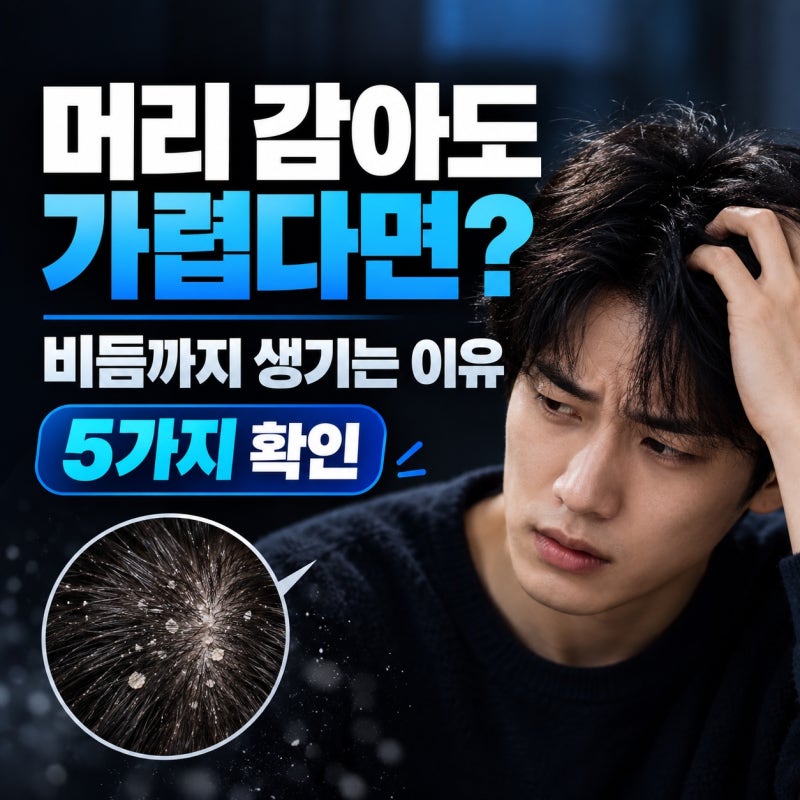 두피 가려움 원인, 비듬까지 생긴다면? 좋은 샴푸 추천 및 고르는 법