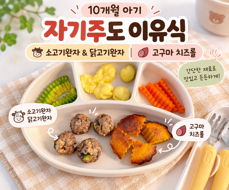[후기이유식] 10개월 자기주도 이유식 레시피 모음 | 한눈에 보는 레시피 요약본 | 쇠고기완자....