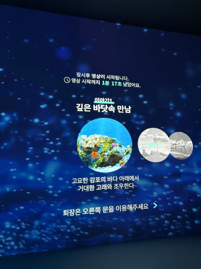 Gyeongju Gampo Attractions: A Review of Gampo Port's Tunnel of Time