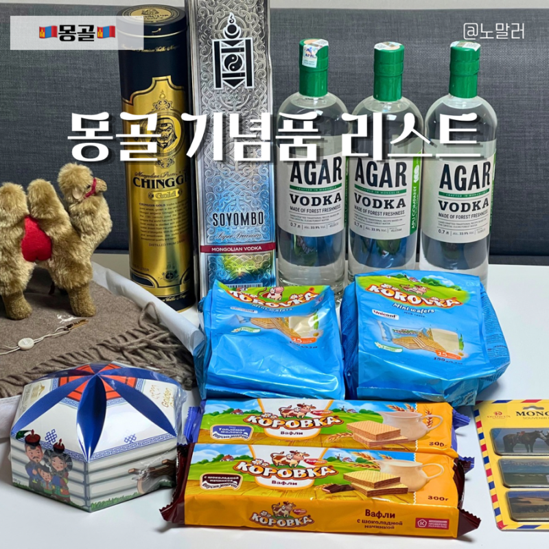 몽골 기념품 고비 캐시미어 국영백화점 노민마트 쇼핑