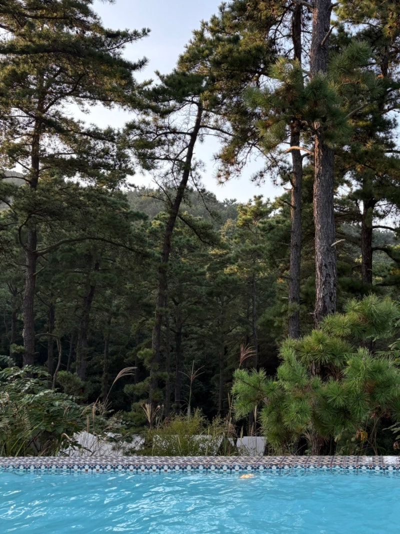 Incheon Daebudo Private Pension Black Tree House Pool Villa: Great for Family Trips