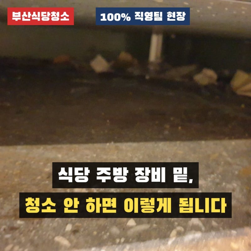 부산진구 서면 식당 정기청소, 주방 바닥·후드까지 부산청소업체가 관리하는 법