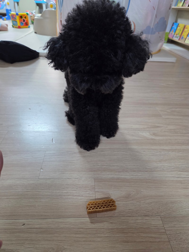 강아지덴탈껌 라이프펫 헬시 덴탈껌｜강아지치석제거 관리 시작한 쿠키