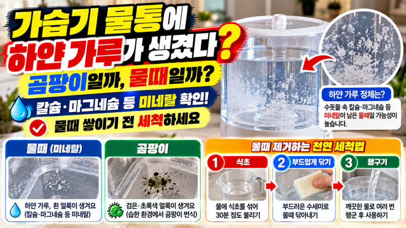 “가습기 물통에 하얀 가루, 혹시 곰팡이?” 정체부터 물때 제거·예방법까지