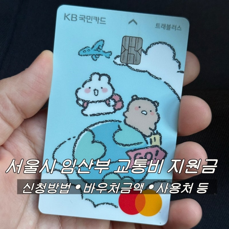 서울시 임산부 교통비 지원 총정리 |신청방법 금액 사용처 신청기한