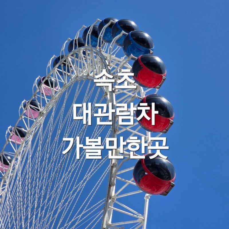 속초아이 대관람차 : 속초 가볼만한곳 가격부터 철거 논란까지 가족여행 후기