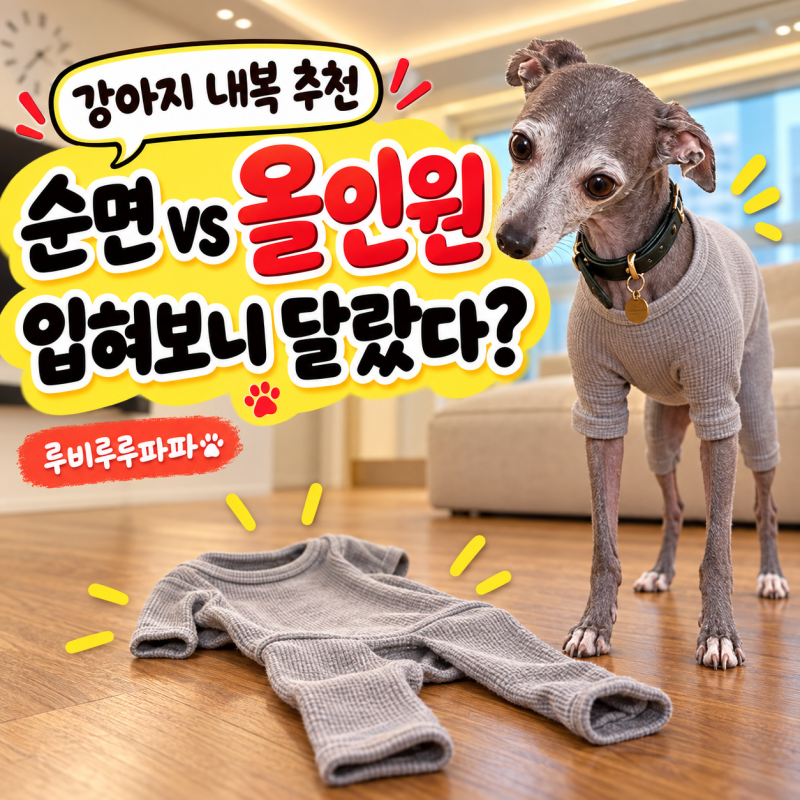강아지 내복 추천, 순면 vs 올인원 입혀보고 비교