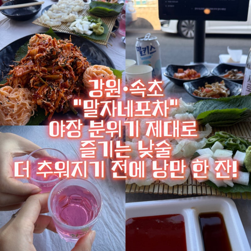 [강원|속초] 당일치기로 온 속초 여행, 야장 하기 딱 좋은 날씨에 발견한 “말자네포차” 낮....