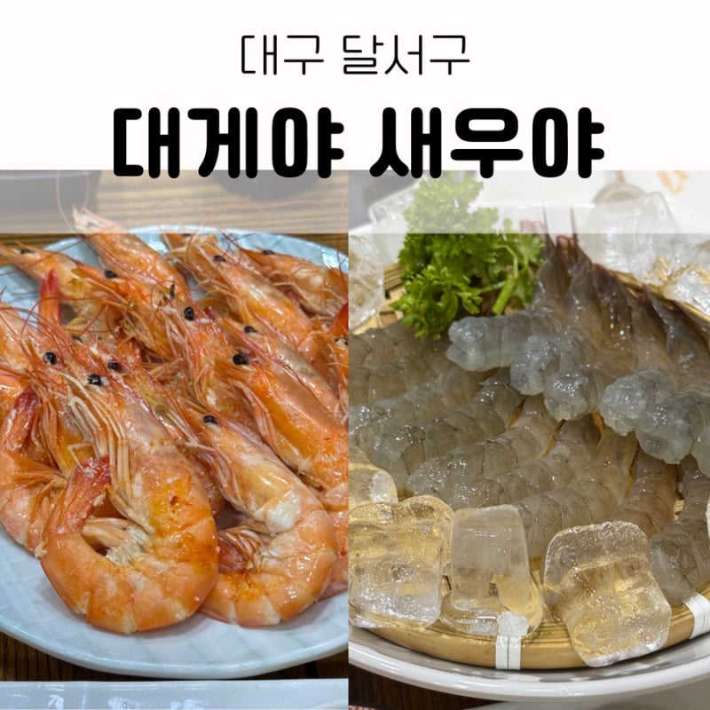 대게야 새우야-대구 달서구 두류 광장코아 대하회 대하소금구이