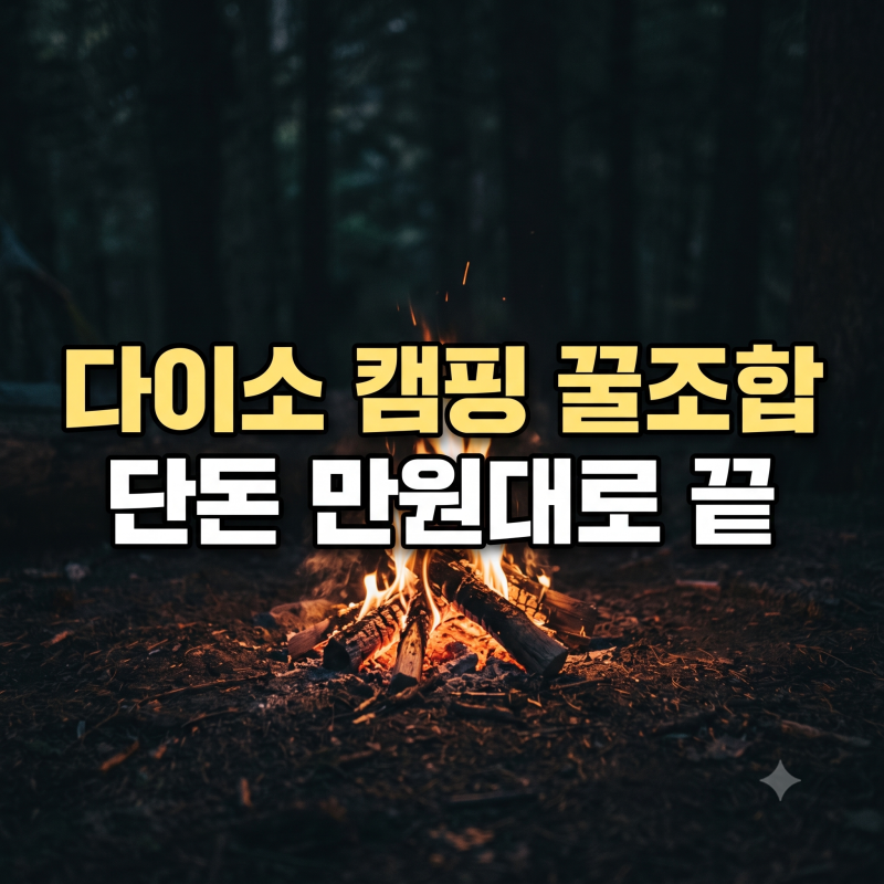 "캠핑 장비에 돈 꽤 썼는데.. " 캠퍼들 홀린 다이소 캠핑 용품 추천