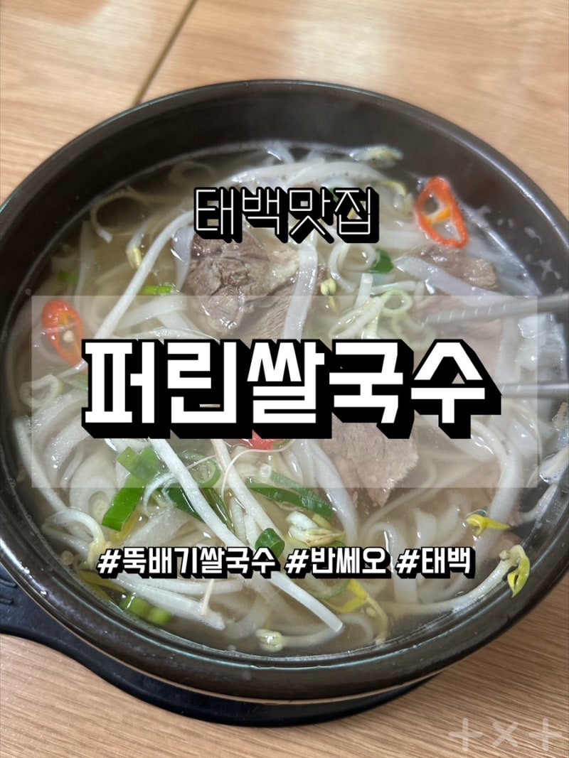 [태백맛집] 퍼린 | 태백 장성 베트남 사장님이 요리하는 뚝배기 쌀국수 맛집 내돈내산
