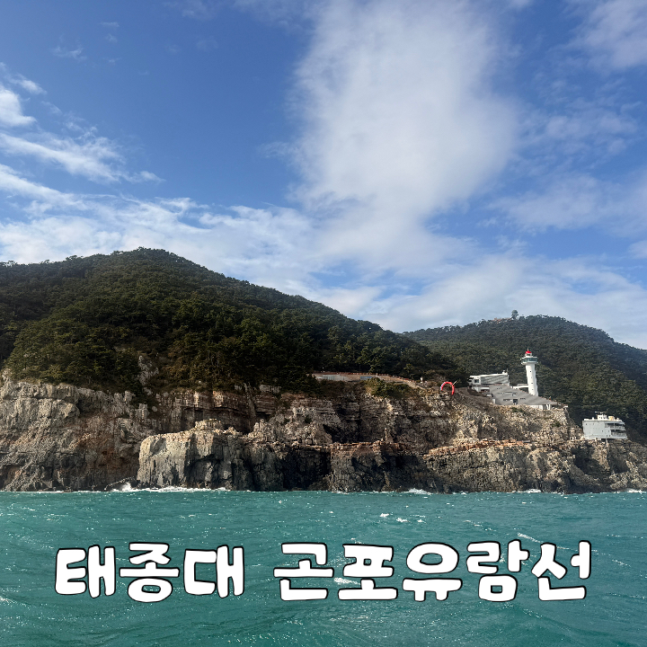 太宗臺遊覽船心得：釜山Danubi，不搭免費接駁車，改搭「太宗臺Gonpo遊覽船」價格與預約