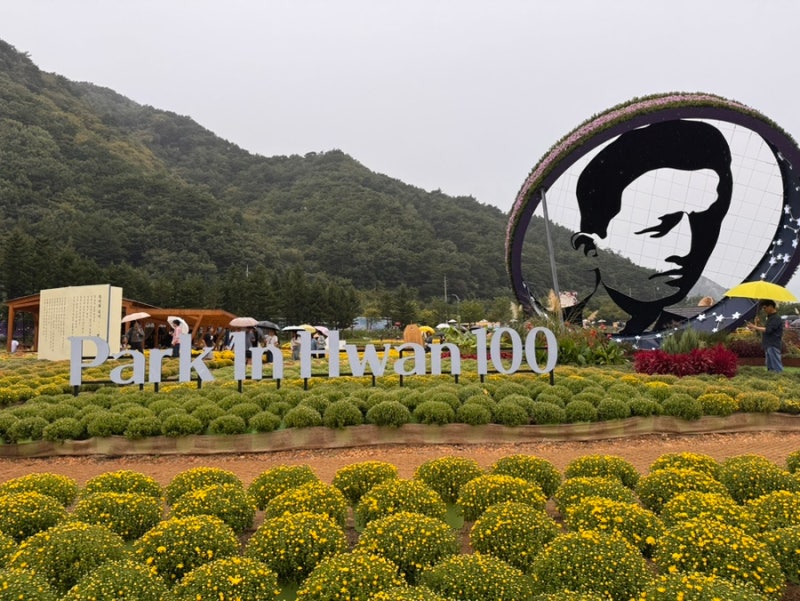 강원도 10월 가볼만한곳 인제 가을꽃축제 먹거리 주차 볼거리 정보 및 방문후기