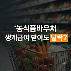 농식품바우처 대상에서 제외 되는 이유? 사용처 조건 및 신청방법 (홈페이지 바로가기)