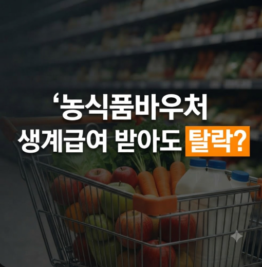 농식품바우처 대상에서 제외 되는 이유? 사용처 조건 및 신청방법 (홈페이지 바로가기)