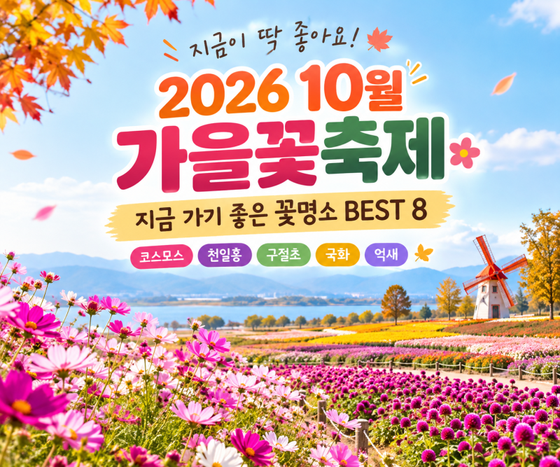 2026 10월 가을꽃축제 총정리｜지금 가기 좋은 꽃명소 BEST 8