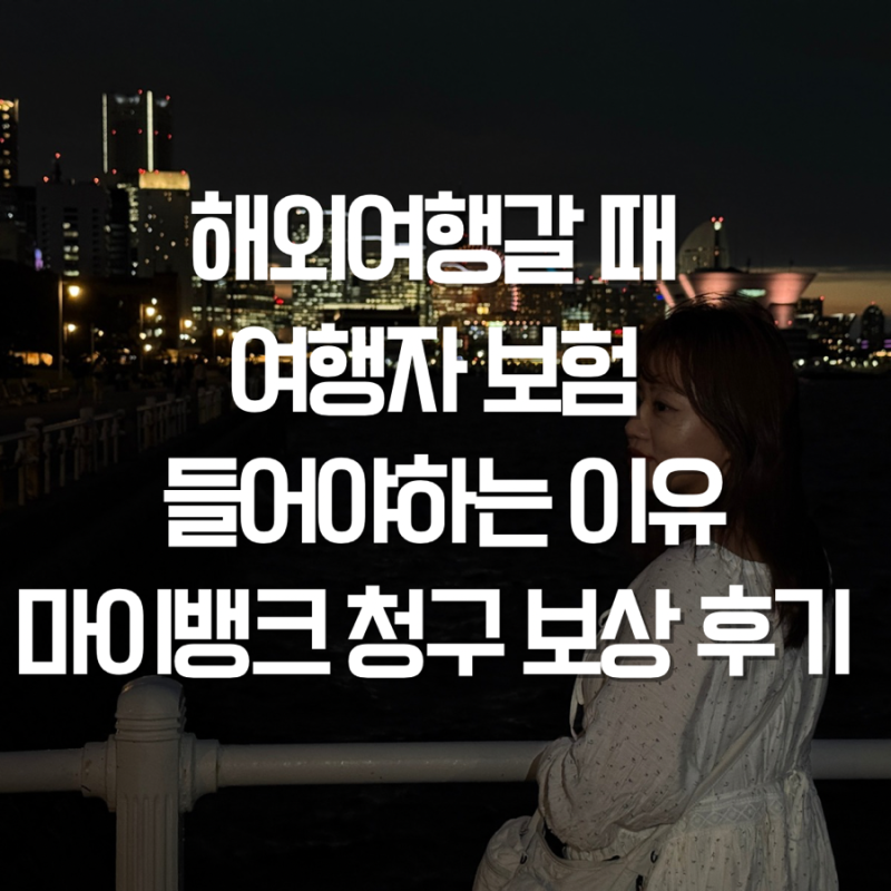 일본 태풍으로 인한 비행기 지연 마이뱅크 여행자 보험청구 후기 호텔 식비 간식 등 환급까....