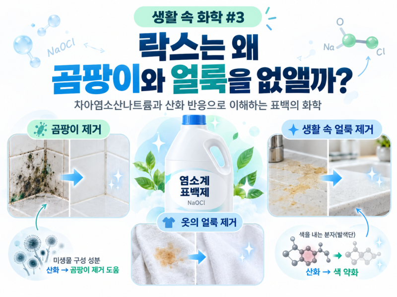 [생활 속 화학 #3] 락스는 왜 곰팡이와 얼룩을 없앨까?