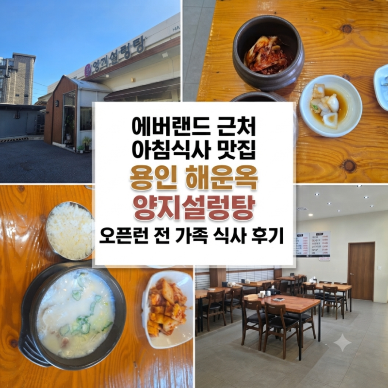 에버랜드 근처 아침식사 맛집 용인 해운옥 양지설렁탕 오픈런 전 가족 식사 후기