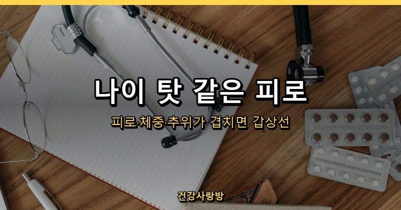 갑상선기능저하증, 피곤한 게 나이 탓이 아닐 수 있습니다 (TSH 수치 하나로 갈립니다)