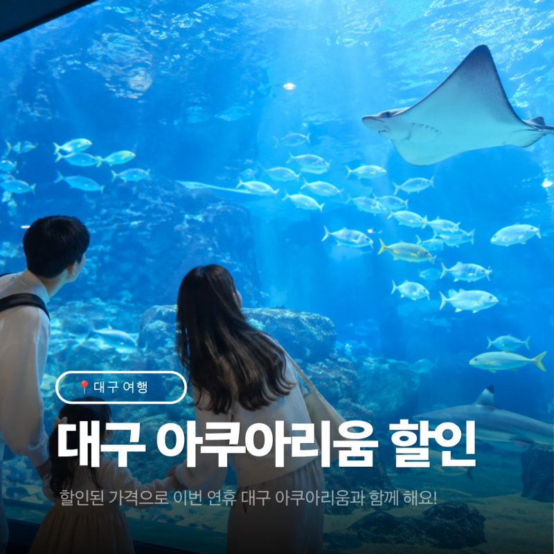 대구 아쿠아리움 입장권 할인, 아이랑 가기 전 가격·쿠폰 확인