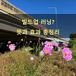 마라톤 대회 전날 훈련으로 8km 빌드업 러닝 진행! 빌드업 효과와 뜻은?