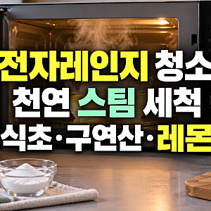 전자레인지 청소 방법: 식초, 구연산, 레몬즙 활용 스팀 세척 가이드