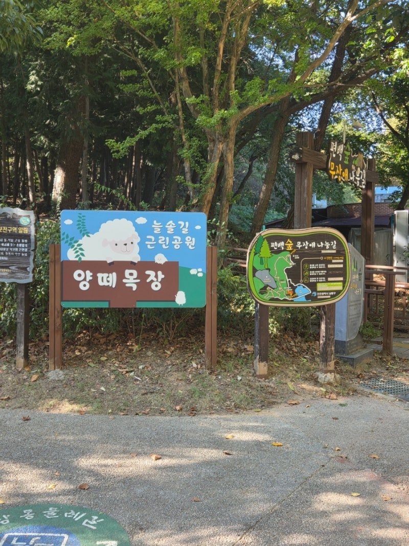 인천 양떼목장 늘솔길공원 주차장 꿀팁 및 아이와 가볼만한곳 생생 방문 후기