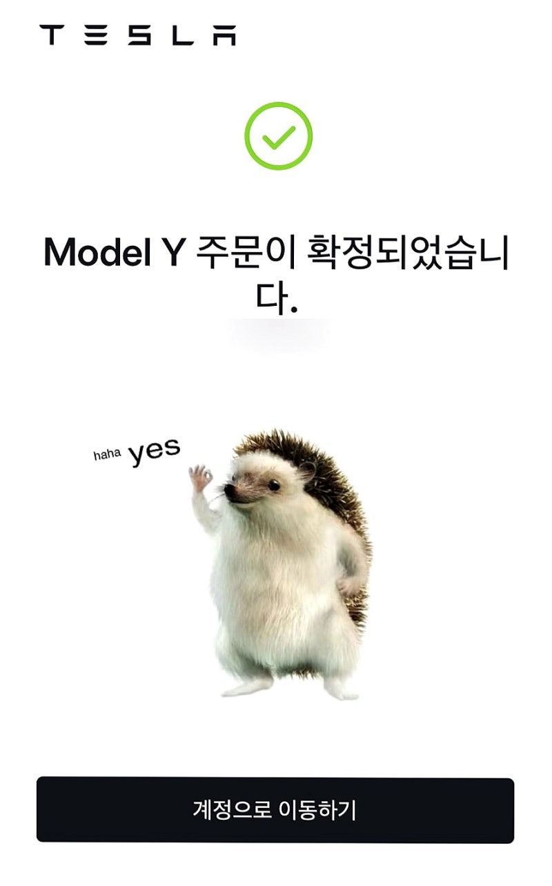 테슬라 지금 사야하는 이유 / 테슬라 가격 인상, 보조금, 모델Y 장단점