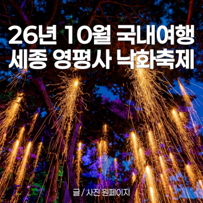 Sejong City Must-Visit: 2026 Sejong Yeongpyeongsa Nakwha Festival Tickets & Parking Guide!