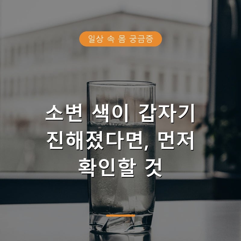소변 색깔 진한 노란색 갈색 붉은색, 병원 가야 하는 기준