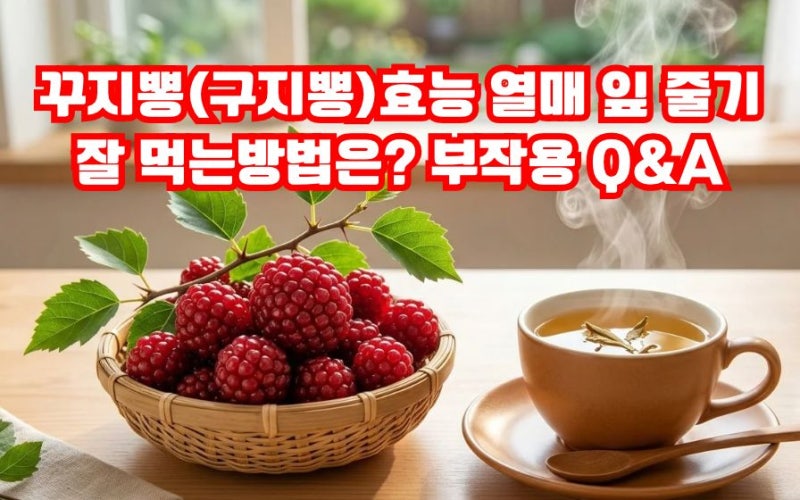 꾸지뽕(구지뽕)효능 열매 줄기 성분 잘 먹는방법은? 부작용 Q&A
