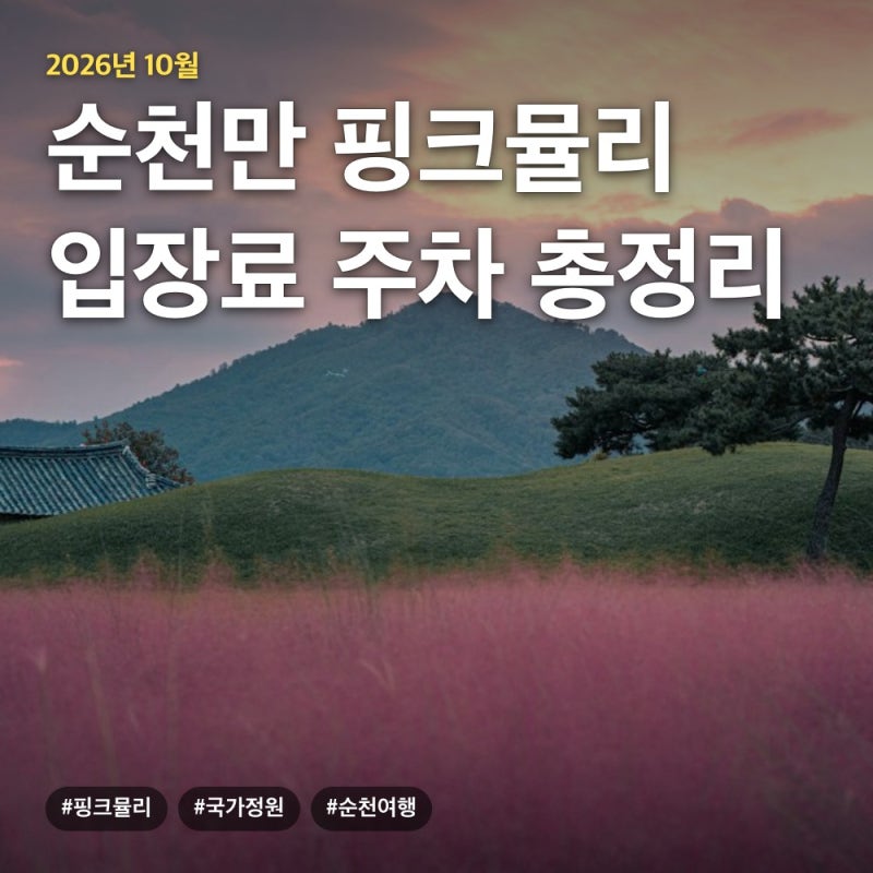 순천만국가정원 핑크뮬리 개화시기 입장료 주차요금 포토스팟 총정리 (2026년 10월 기준)