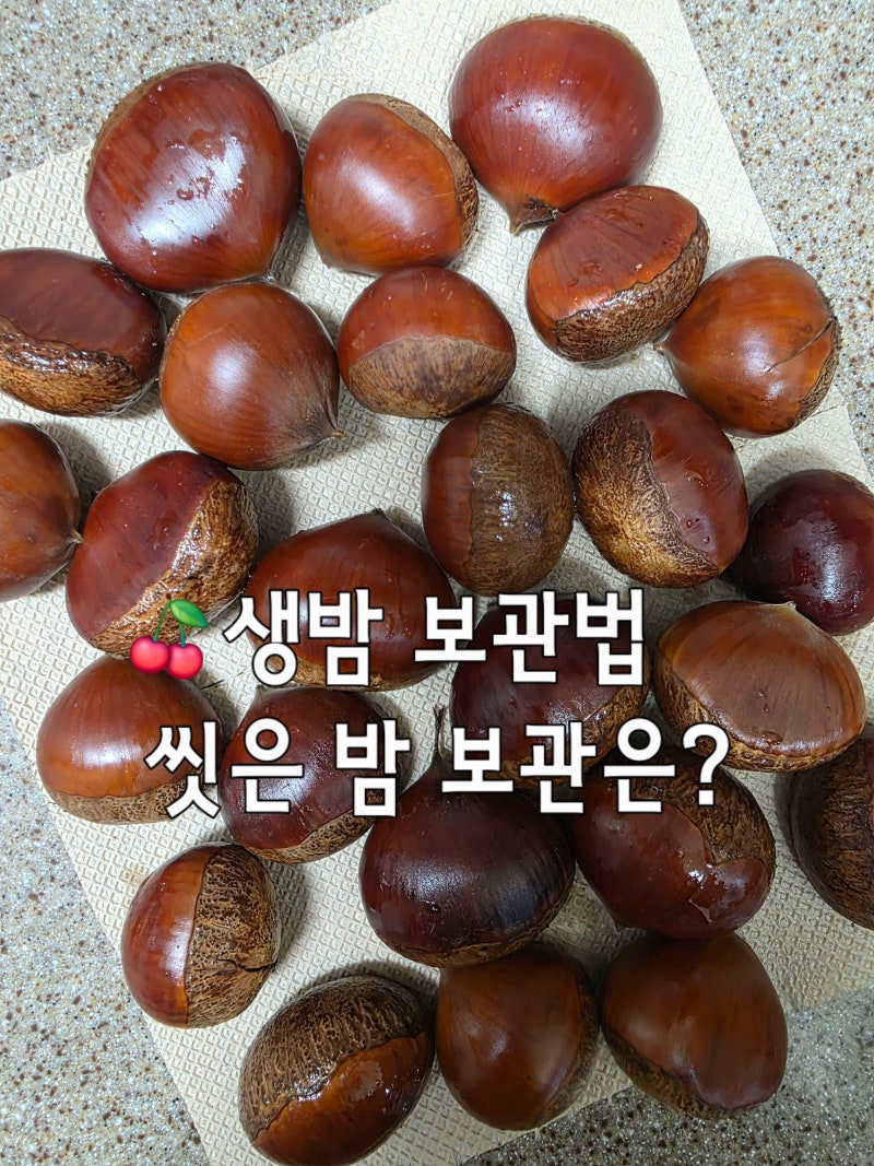 생밤 보관법 씻은밤 보관 냉동해도 될까요?