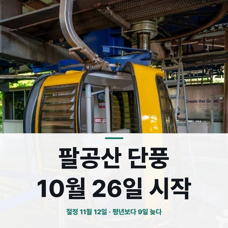 팔공산 단풍 11월 12일 절정 대구 가볼만한곳 케이블카 주차 정리